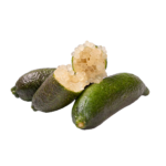 CITRONCAVIAR-1.png