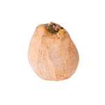 CocoAvorte_CroissyFruits_Packshot-3595.png