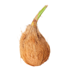 NoixdeCocoGermee_CroissyFruits_Packshot-1972.png