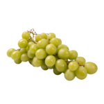 RSPBLANC.png